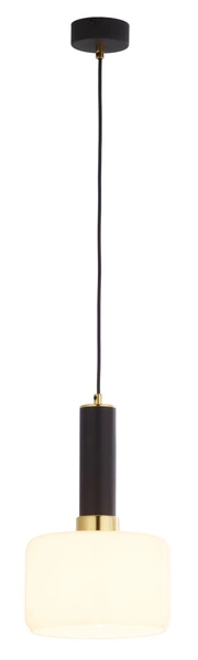 Nowoczesna Lampa wisząca VANES wys. 39-80cm 1xE27 15W IP20 | Złoty