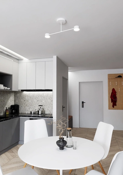 Lampa sufitowa Emibig HALO 2 Biały 1356/2