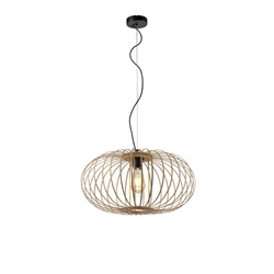 11409-79 RACOON LAMPA WISZĄCA