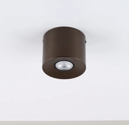 ORION S BROWN LAMPA SUFITOWA 1 PŁ 762