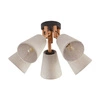 Nowoczesna lampa sufitowa 5 punkt VAIO NATURE 5752 E27 | beżowy 575