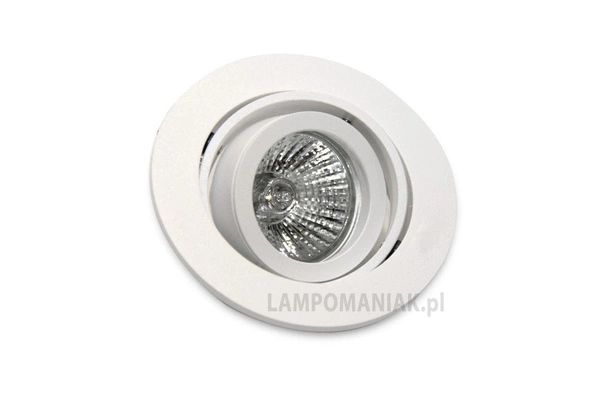 Azzardo CARLO 1 ALUMINIUM 804