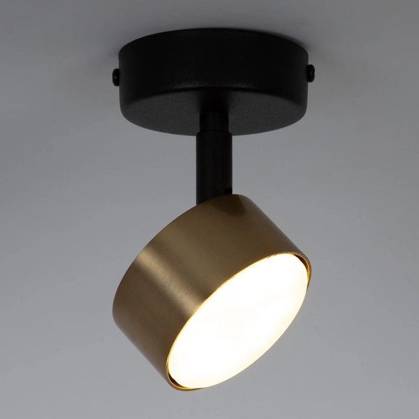 Lampa Sigma NEMO 1 S plafon czarny/złoty szczotkowany 41084