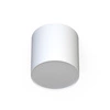 Lampa sufitowa/spot POINT PLEXI WHITE M śr.13cm 6525