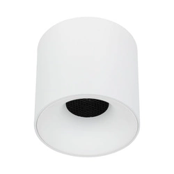 BLAZE WHITE CCT 30W