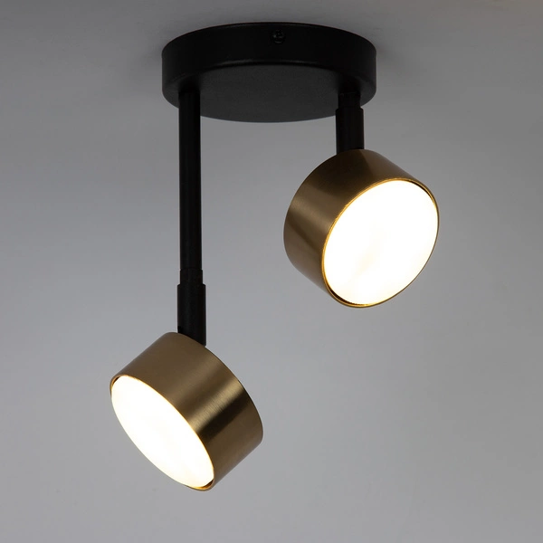 Lampa Sigma NEMO 2 plafon czarny/złoty szczotkowany 41087