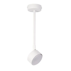 Lampa Sigma NEMO 1 L plafon biały 40980