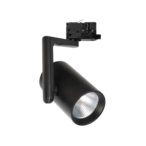 Reflektor Timor 30W 2700/4000K Czarny 3 Obwodowy