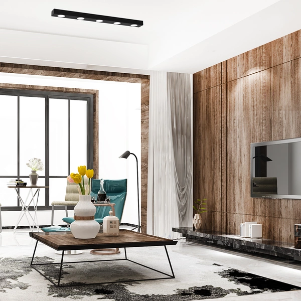 Lampa sufitowa ALEXANDER, MLP8833, czarna, 5x11W GX53