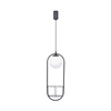 5003 PLANT 1 PENDANT LAMP