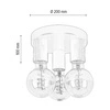 Lampa Sufitowa Notri 3xE27 Max.15W LED Dąb Bielony/Czarny Metal 4033218400000