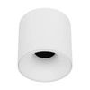 Spot sufitowy tuba BLAZE WHITE 18W 18142