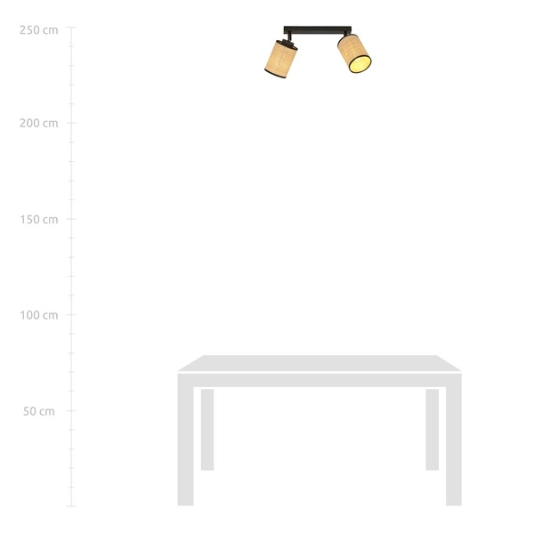 Lampa sufitowa Emibig YOGA 2 Czarny 1151/2