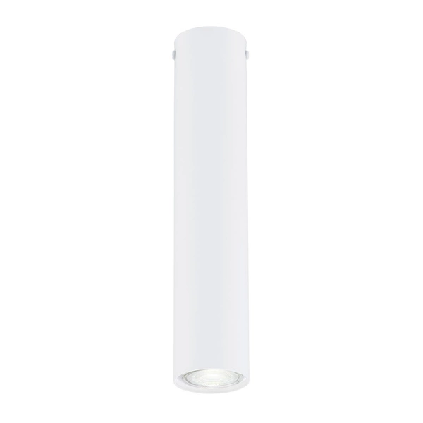 Lampa sufitowa Emibig TECNO 1M Biały oprawa oświetleniowa 1317/1M