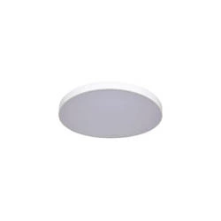 Plafon RAPIDO śr. 30cm | biały I 24W LED, barwa neutralna 4000K