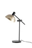 Lampa Sigma ARTIS lampka czarny/złoty 50357