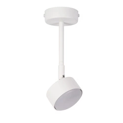 Lampa Sigma NEMO 1 M plafon biały 40979