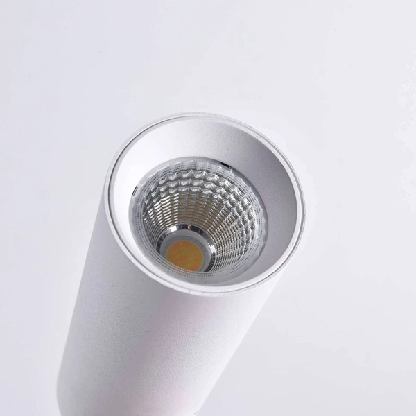 Reflektor do szynoprzewodów trójfazowych MAGNUM, biały, 20W LED