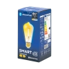 Inteligentna żarówka Bluetooth Mesh 6W ST64 CCT