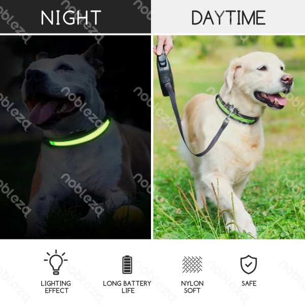 Świecąca obroża typ.A LED dla psa USB dł. 51-61cm | różowy