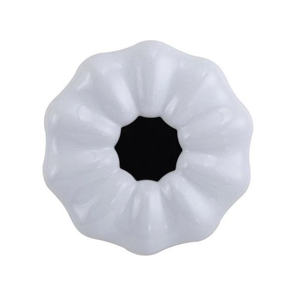 Sonia PLF 45372 M CL