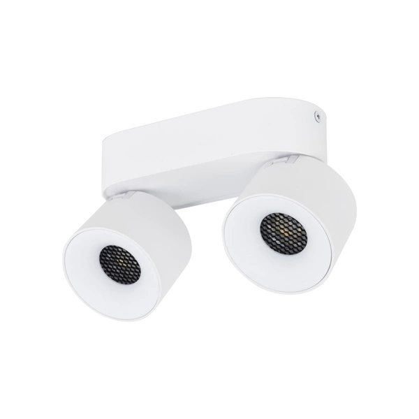 SPARK DUO WHITE CCT 20W