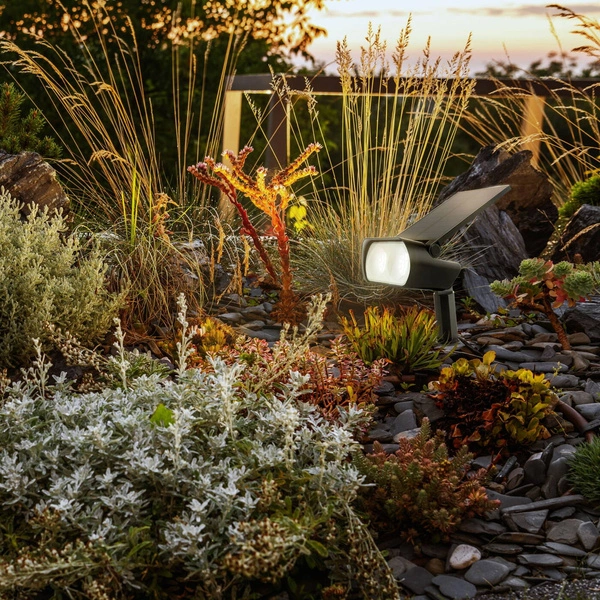 Lampa solarna reflektor OCULUS SOLARIS wys. cał. 29cm 2W LED barwa zmienna | czarny