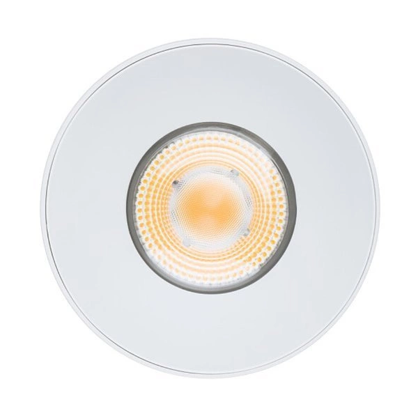 Lampa sufitowa plafon IOS 30W LED 3000K kąt 36° | biały 8731