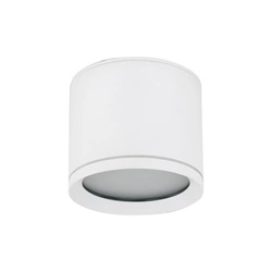 Spot sufitowy tuba VIVO WHITE GX53 10595