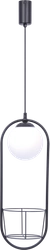 5003 PLANT 1 PENDANT LAMP