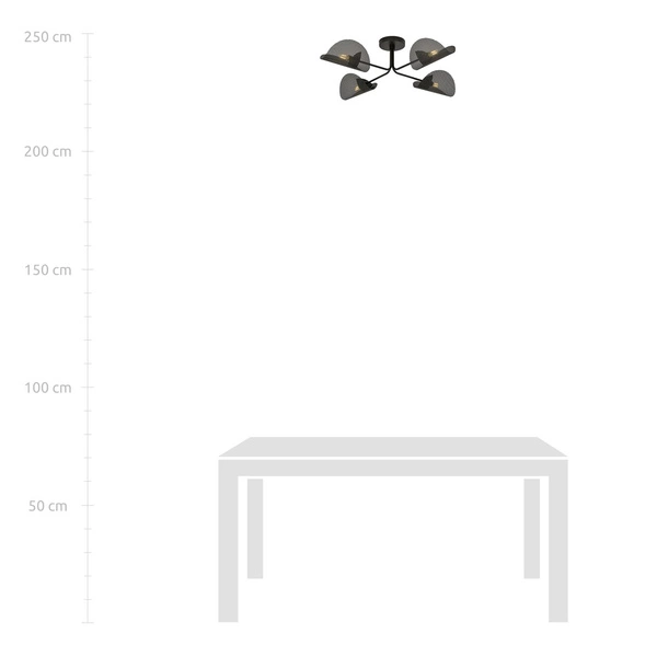 Lampa sufitowa Emibig GOMEZ 4 Czarny oprawa oświetleniowa 1171/4