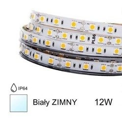Prof taśma LED 12W 2835 9000K zimna IP64 5m