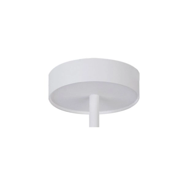 Kinkiet, lampa sufitowa, plafon LEDA 1 biały 33107