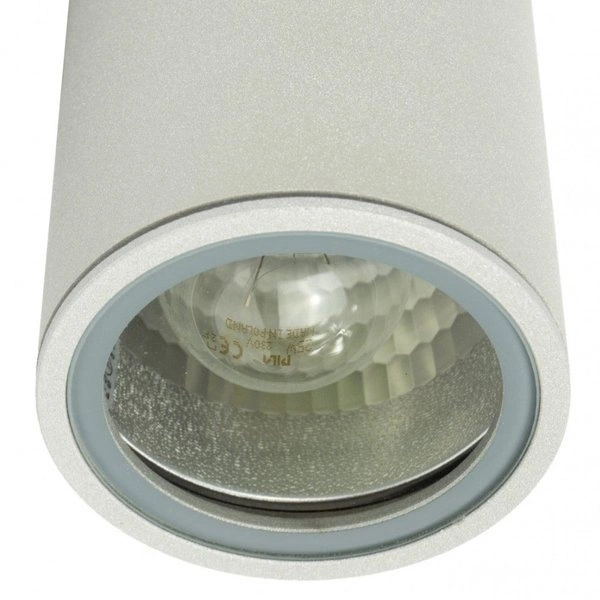 Lampa sufitowa przed wejście do domu IP54 E27 ADELA 7002 AL | srebrny