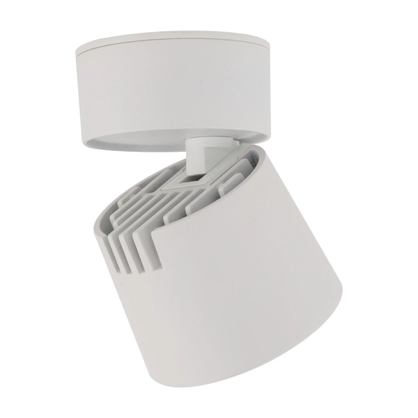 Spot sufitowy tuba regulowana KYOTO WHITE 18W 18138