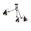 Aldex Lampa sufitowa AIDA 3, 842PL_E, czarna, 3x60W E27