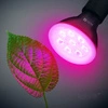 Żarówka do roślin LED PLANTY B 7W E27 1200K czarna Kobi Design