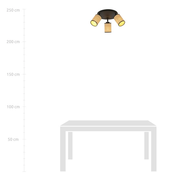 Lampa sufitowa Emibig YOGA 3 PREMIUM Czarny 1151/3PREM