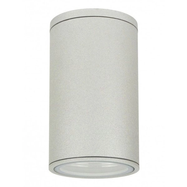 Lampa sufitowa przed wejście do domu IP54 E27 ADELA 7002 AL | srebrny