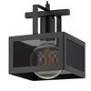 Lampa sufitowa wisząca siatka ALBERT 1 ZWIS czarny 32177