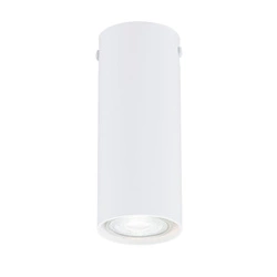 Lampa sufitowa Emibig TECNO 1S Biały oprawa oświetleniowa 1317/1S