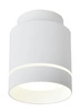 Lampa sufitowa TUBA 2275918, biała, 12W LED, barwa neutralna 4000K