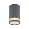 Lampa sufitowa ROCK PRO I wys. 18,7cm E27 IP44 | grafitowy 10687