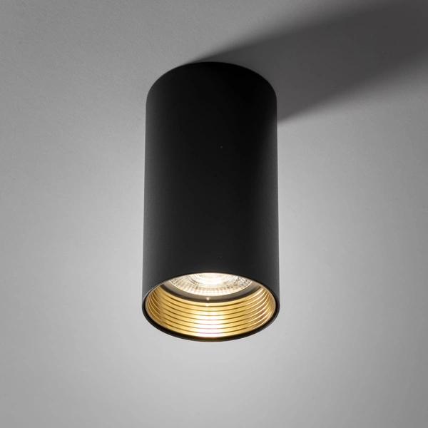 AMIS BLACK DOWNLIGHT