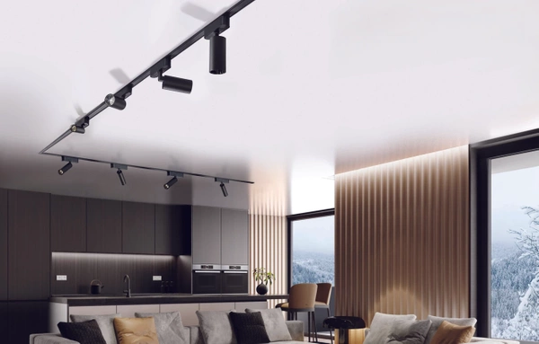 Azzardo GAMMA NIKO TRACK MAGNETIC 5mm 7W 3000K BK 5284