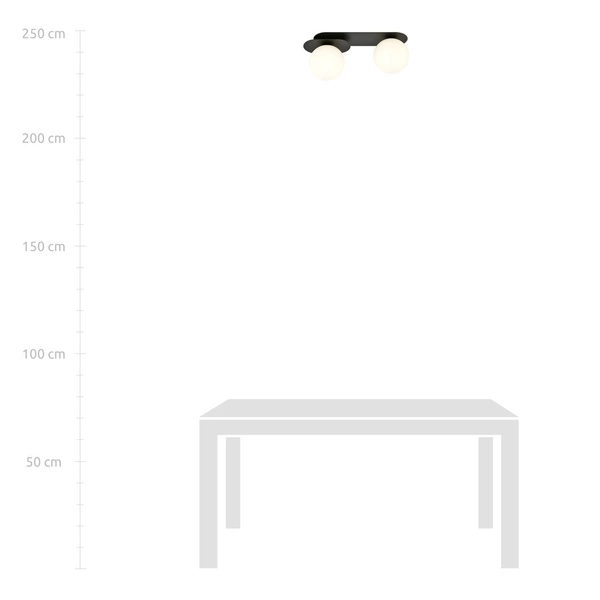 Lampa sufitowa Emibig PLAZA 2 Czarny/OPAL 1118/2