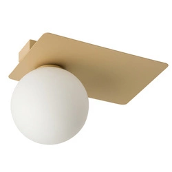 Nowoczesny plafon do biura i domu ARGON G9 12W szer. 25cm | złoty