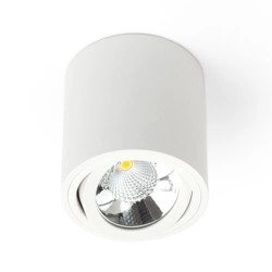Oprawa sufitowa spot tuba SASARI RO 15W ciepła 3000K biały śr. 16cm