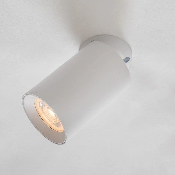 TLS006-WH TORE LAMPA SUFITOWA BIAŁA/WHITE