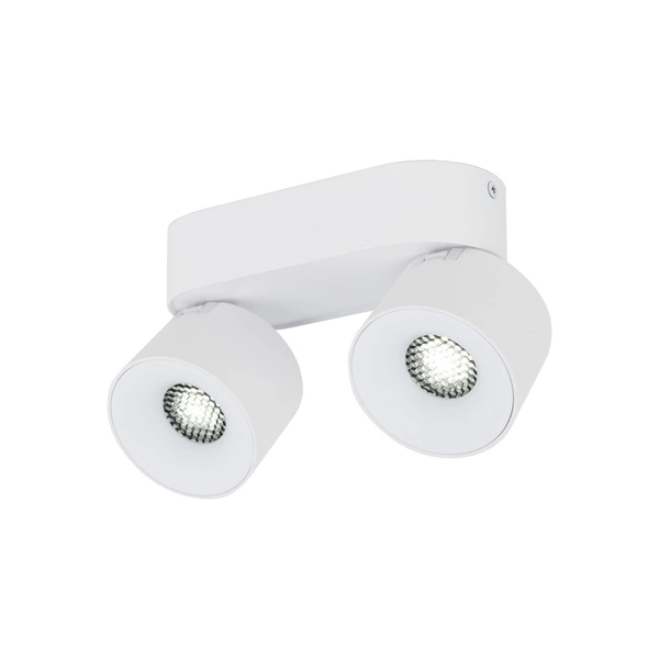 SPARK DUO WHITE CCT 20W